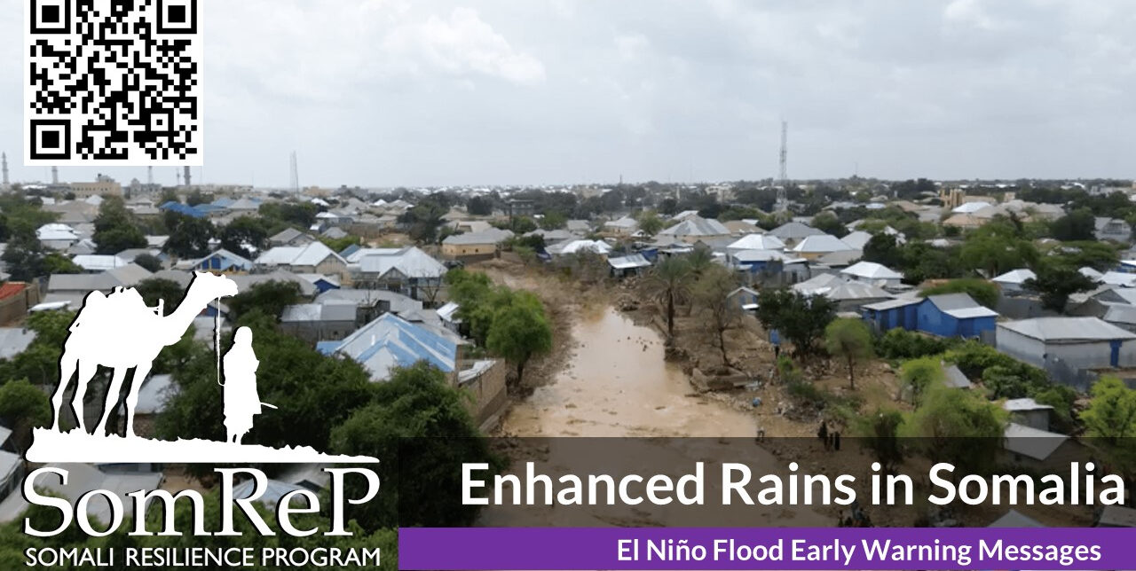 Somalia. Il consorzio di ONG SomReP affronta l'impatto di precipitazioni senza precedenti