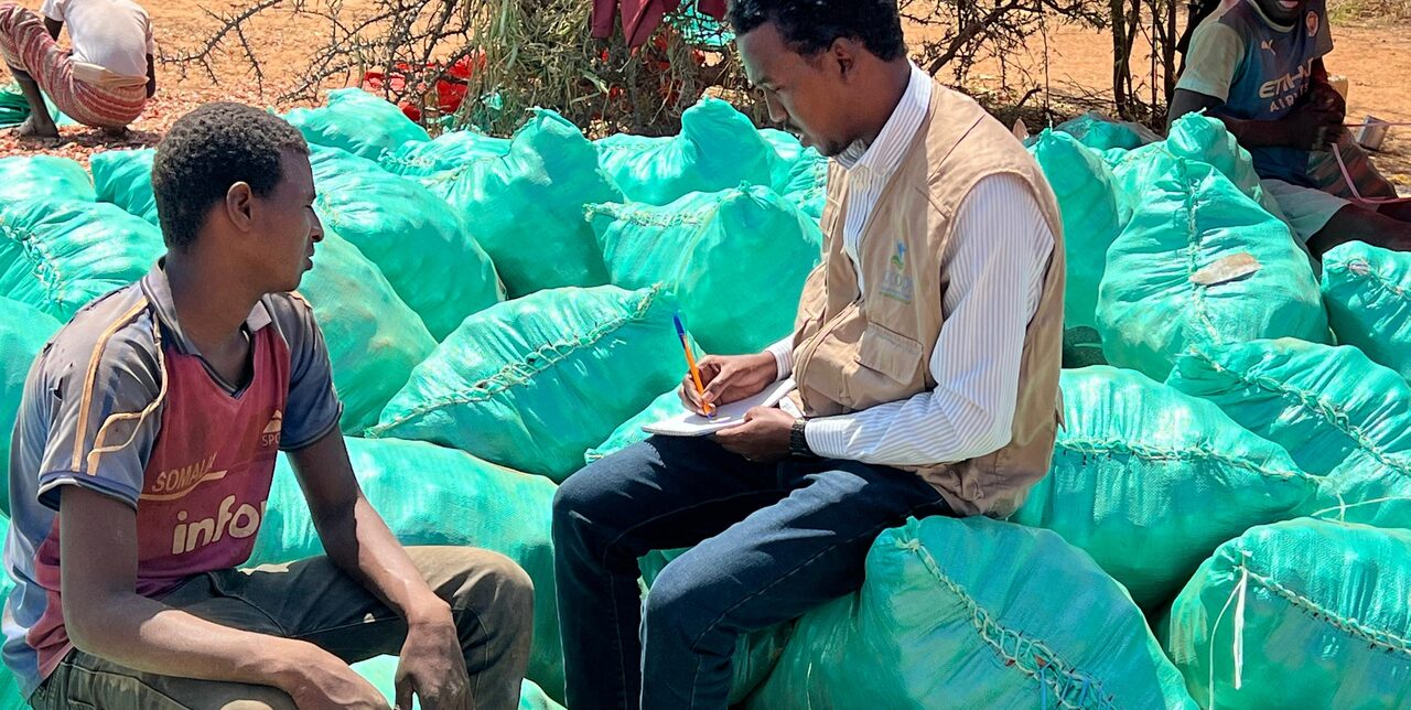 Somalia. Sostenere gli agricoltori nel distretto di Dollow