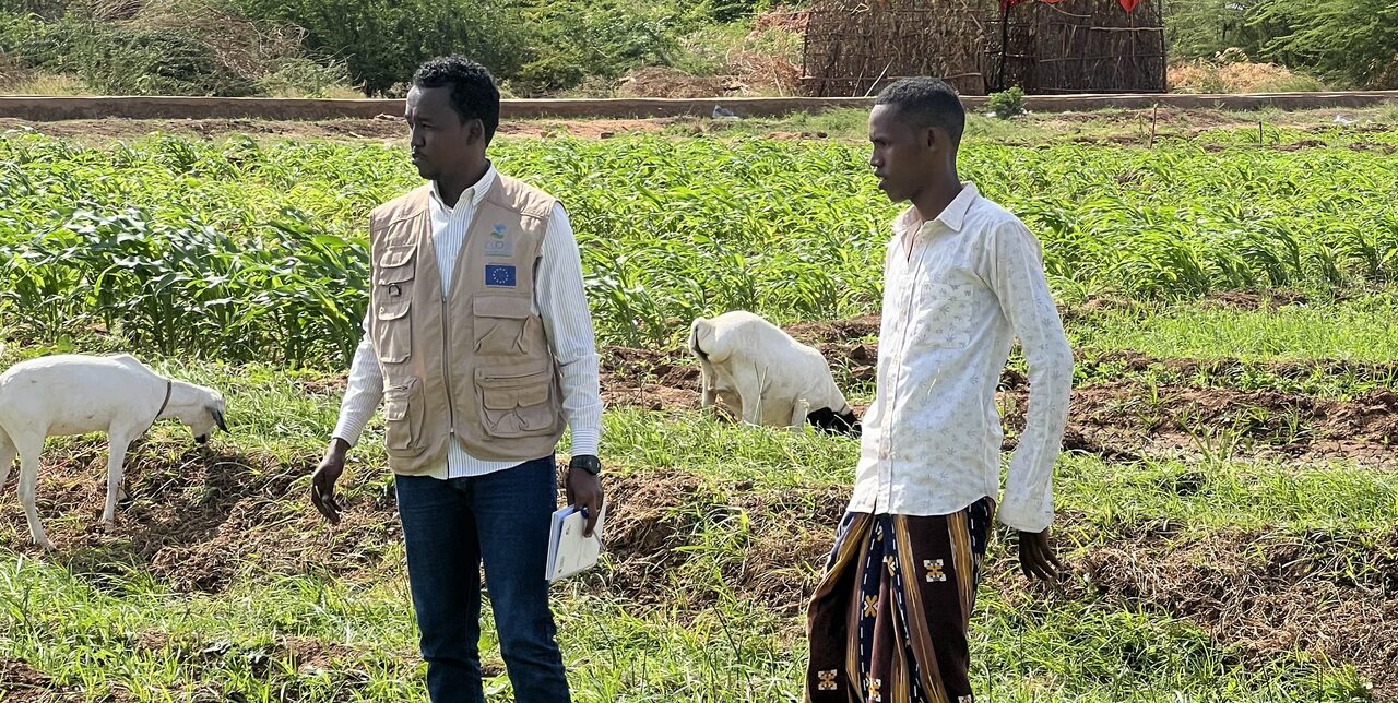 Dalla siccità all’abbondanza: i canali solari della Somalia