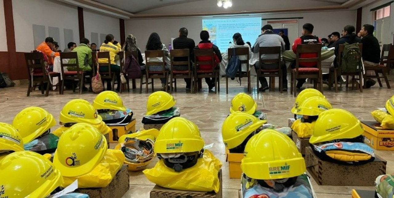 Amazonia +: Esfuerzos colectivos para proteger la foresta amazónica