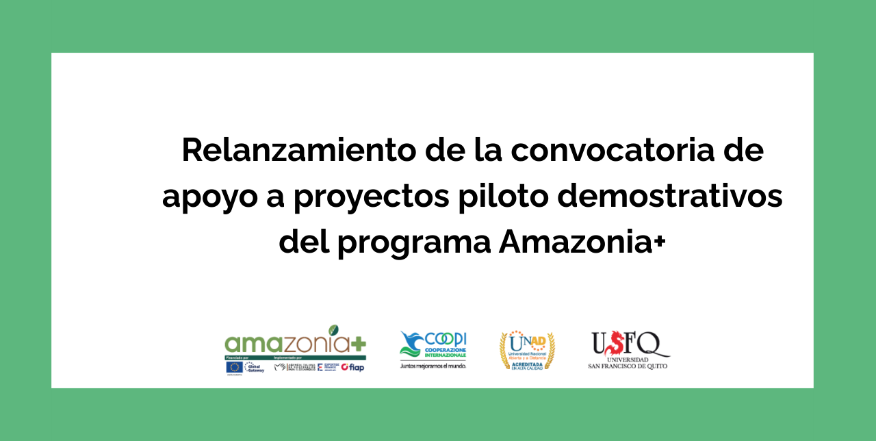Relanzamiento de la convocatoria de apoyo a proyectos piloto demostrativos del programa Amazonia+