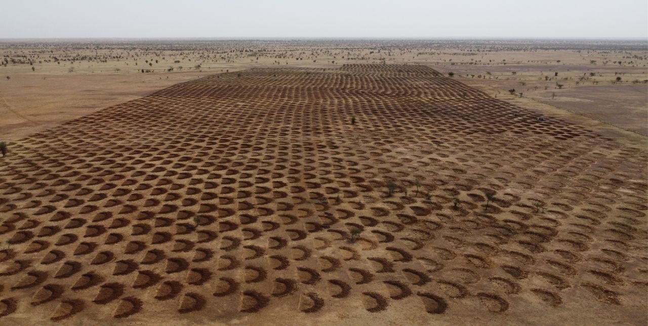 Mauritania. Mezze lune per combattere la desertificazione in Hodh El Chargui
