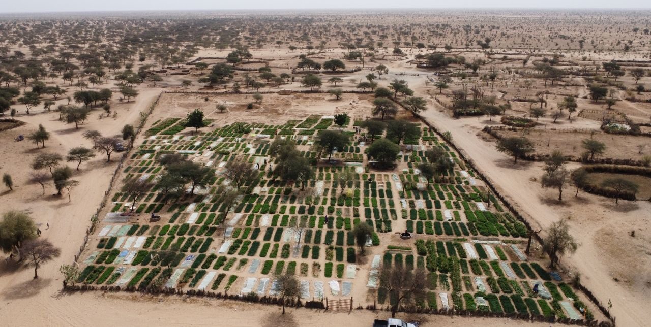 Mauritania. Dalla terra arida alla terra che nutre