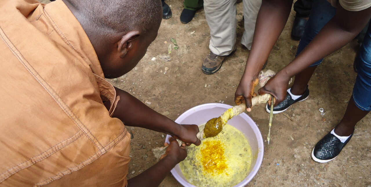 A scuola di apicoltura in Sierra Leone