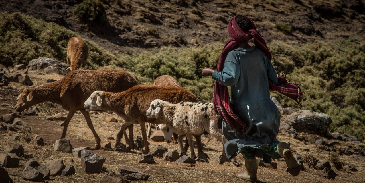 Etiopia: nuove opportunità economiche