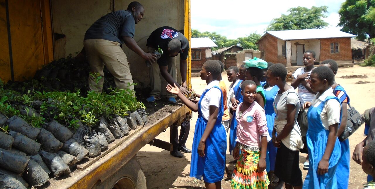 Fruit trees in schools