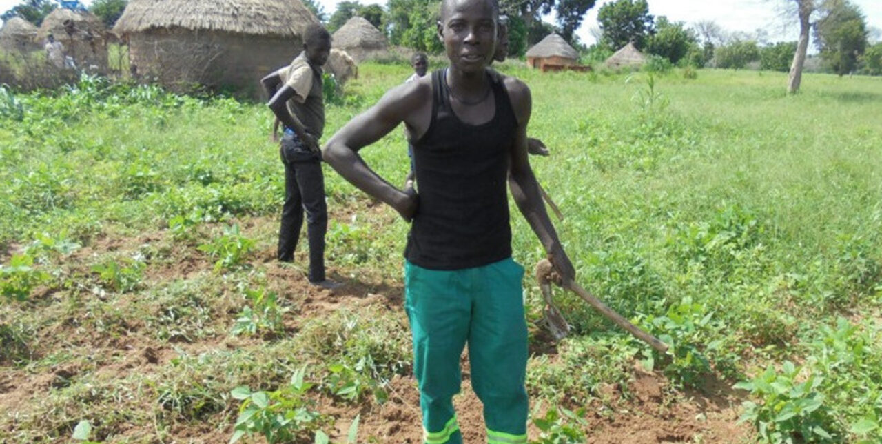 Fighting the food crisis in Cameroon