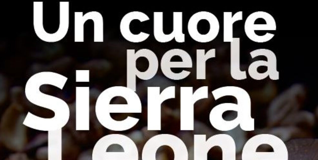 A Milano torna la mostra dedicata agli anacardi