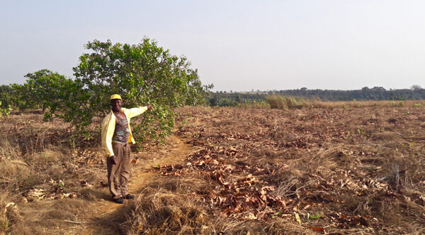 Sierra Leone, progetto anacardi: il Ministero dell'Agricoltura partecipa alla 1° Assemblea