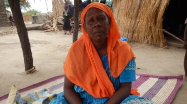 Tchad : la transformation agro-alimentaire double la rente économique
