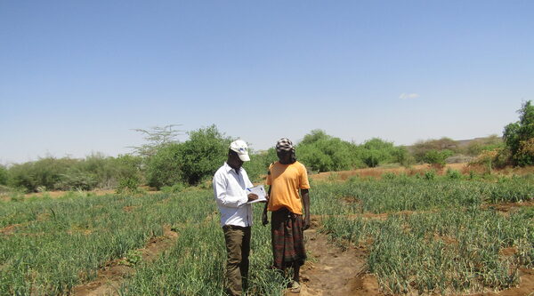 Somalia:  a brighter future for Mohamud