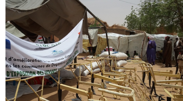 Niger : semences améliorées pour s'adapter aux changements climatiques