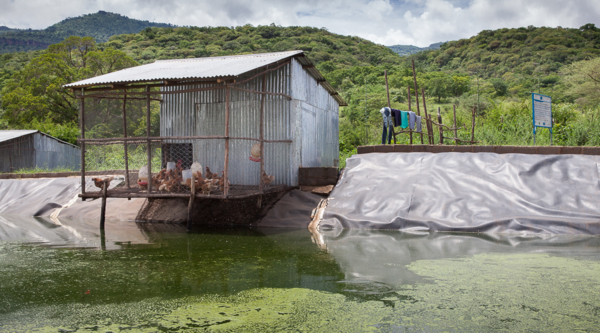 Ethiopia: photovoltaic, beekeeping and aquaculture in Afar