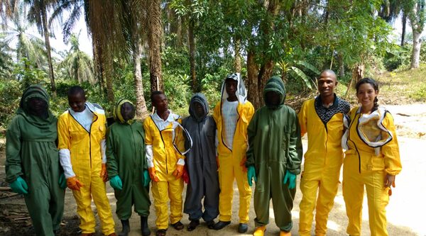 Sierra Leone: i coltivatori di anacardi diventano maestri di apicoltura