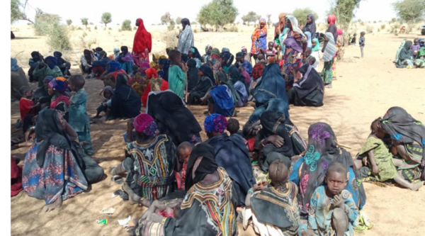 Niger, Tillabery : cliniques mobiles pour traiter la malnutrition dans les camps des déplacés