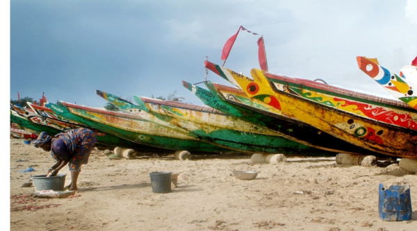 Sénégal : Vivre et réussir chez moi. Pour une migration durable