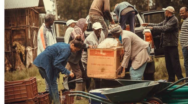 Ethiopia: 40 young vulnerable people and returnees introduced to agriculture