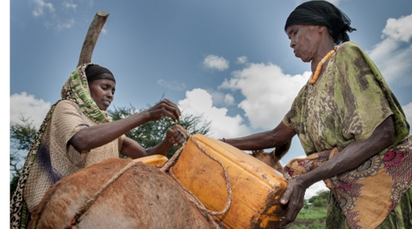 Joint forces to rehabilitate the spring of Adu Kebele