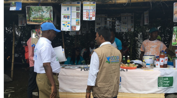 Giornata Mondiale dell'Alimentazione. L'anacardio in Sierra Leone