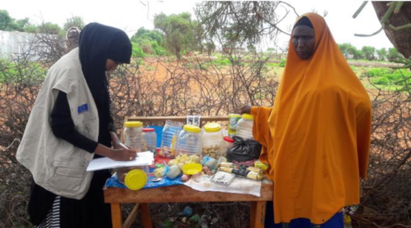 Mobile money to strengthen purchasing power in Somalia