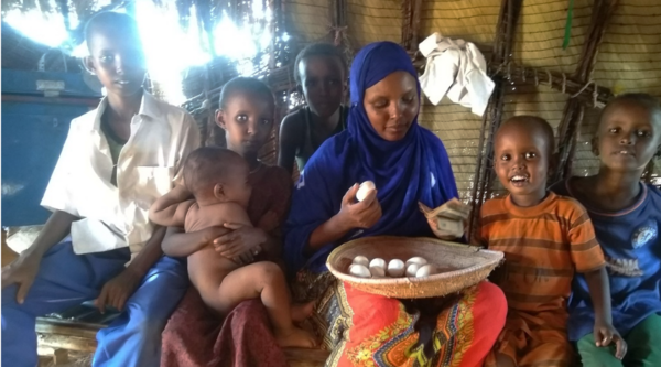 Somalia. Poultry farming improving livelihoods in rural areas