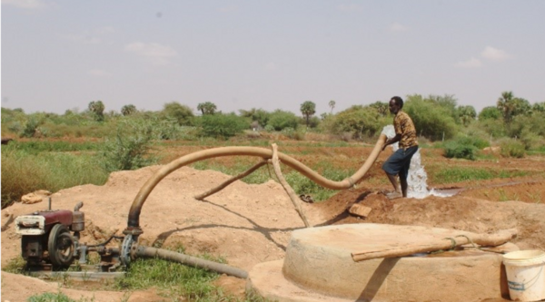 Somalia. Shallow well building resilience among agropastoral families