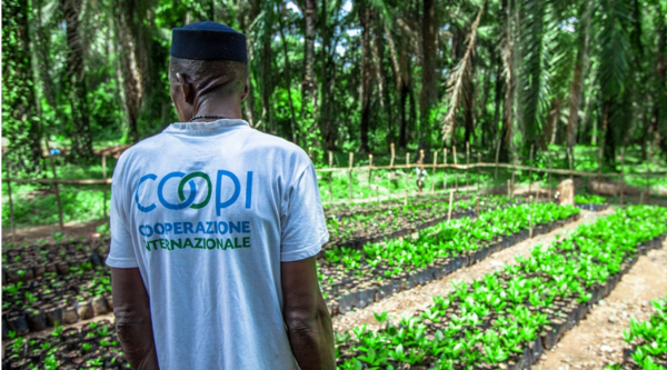 Sierra Leone. Faces2Hearts visita il progetto Anacardi