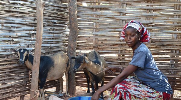 COVID-19. COOPI launches an assessment on food security and livelihoods in nine vulnerable countries