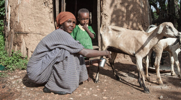 Open letter against hunger, starvation and famine