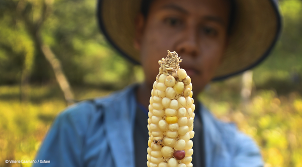 Central America. Droughts and Covid-19 exacerbate the food crisis