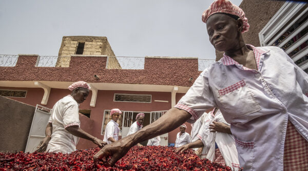 Sénégal. Avec AICS, soutien à 14 projets d'entrepreneurs de la diaspora