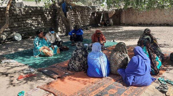 Lac Tchad. Avec l'AICS, contre la désertification