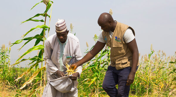 Nigeria. Fleeing terrorists, but saved from hunger and despair