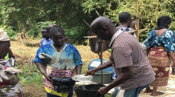 République Centrafricaine. Les activités des coopératives agricoles, d'élevage se poursuivent