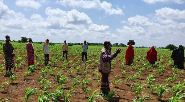 Somalia. Community-credit and resource management to increase climate resilience