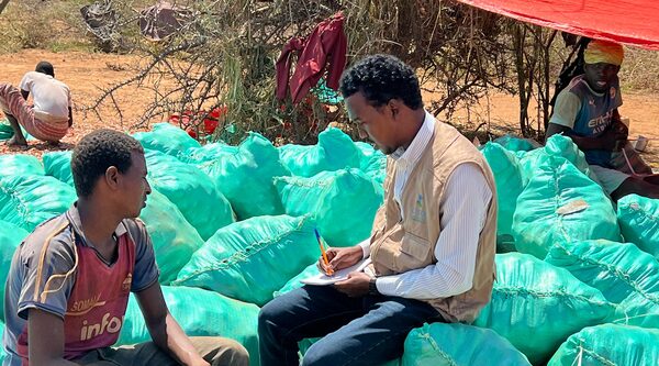 Somalia. Empowering farmers in Dollow District