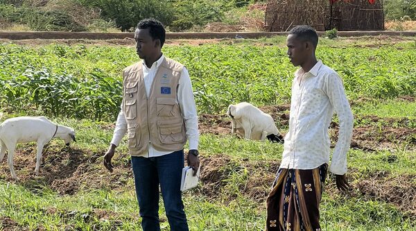 From drought to abundance: Somalia’s solar canals