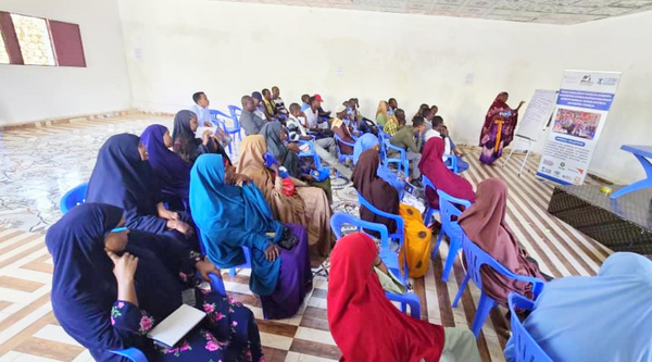 United for resilience: Community Action and Adaptation Plans transform Baidoa villages in Somalia