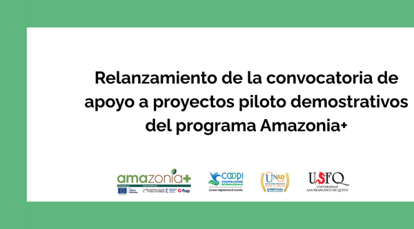 Relanzamiento de la convocatoria de apoyo a proyectos piloto demostrativos del programa Amazonia+