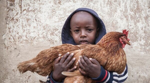 Ethiopia. Cash assistance: more than just money