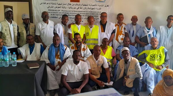 Mauritanie : dans le Hodh El Chargui, la participation communautaire oriente le développement local