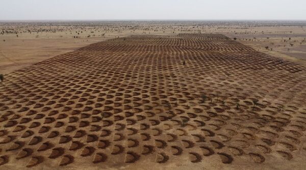 Mauritanie. Des demi-lunes pour lutter contre la désertification dans le Hodh El Chargui