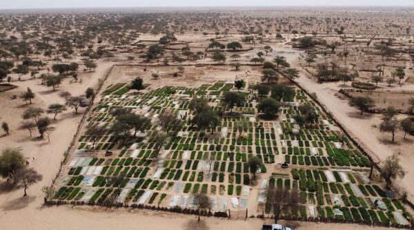 Mauritanie. D’une terre aride à une terre nourricière