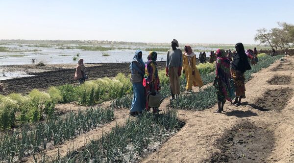 Tchad. Moins de conflits liés aux ressources et plus de revenus pour 4 500 personnes dans le Moyen-Chari