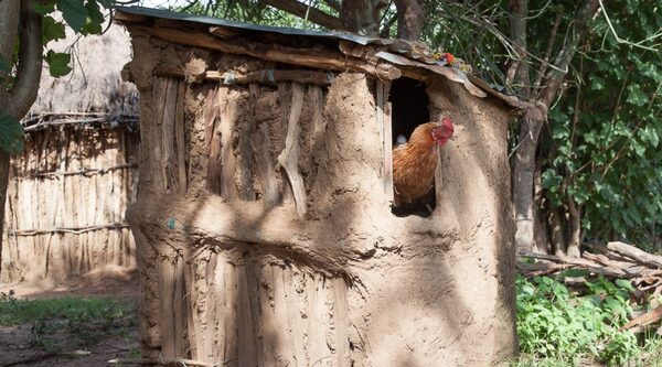 Ethiopia. How the Rapid Response Mechanism saved Hale’s family