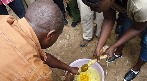 A scuola di apicoltura in Sierra Leone