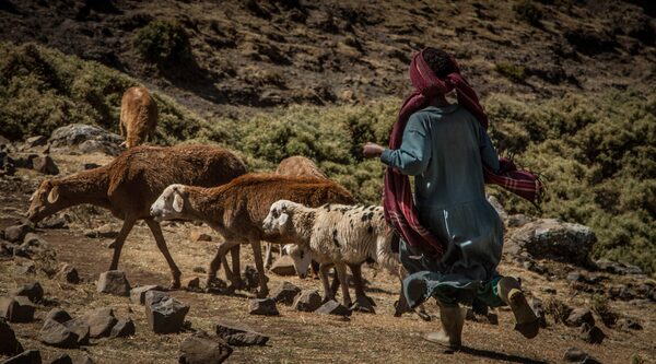 Ethiopia: new economic opportunities