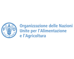 nome fondazione